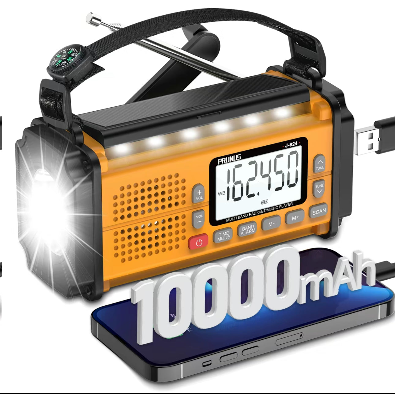 StormGuard Pro Radio