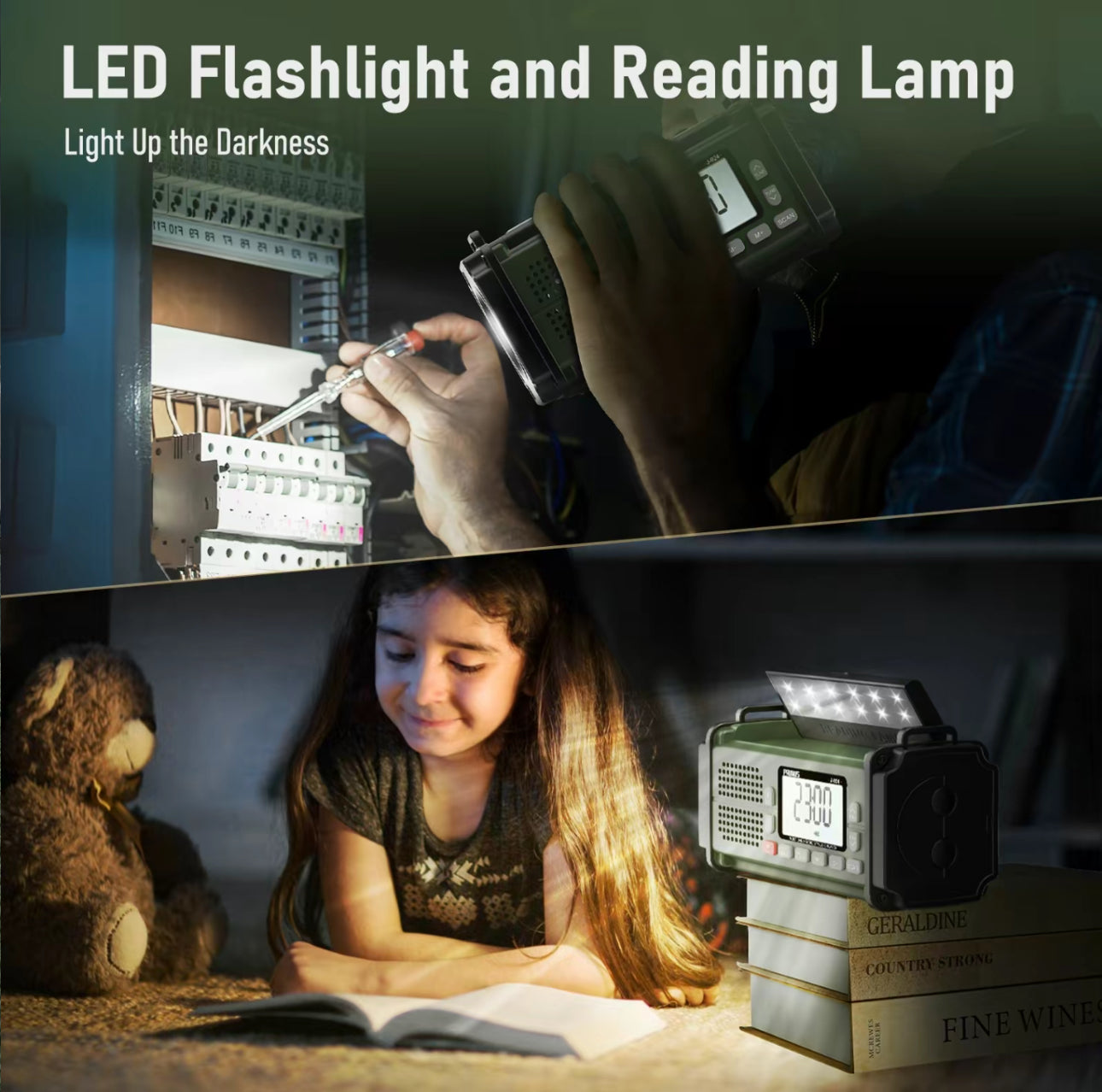 StormGuard Pro Radio