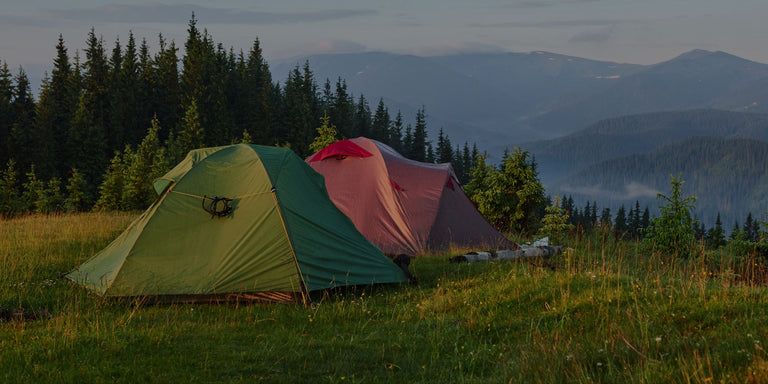 Two tents, one green and one pink, set up in a grassy field with mountains in the background.